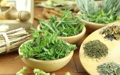 علاج الدهون الثلاثية بالأعشاب