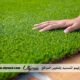 تركيب عشب صناعي بالرياض