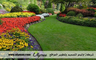 تنسيق حدائق بالرياض