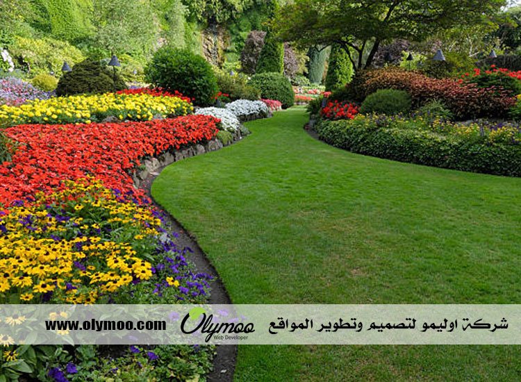 تنسيق حدائق بالرياض