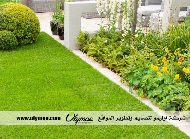 شركة تنسيق حدائق بالرياض