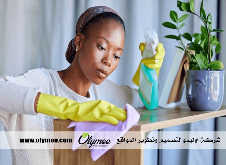 شركة تنظيف في دبي