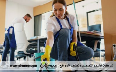 شركة تنظيف في دبي