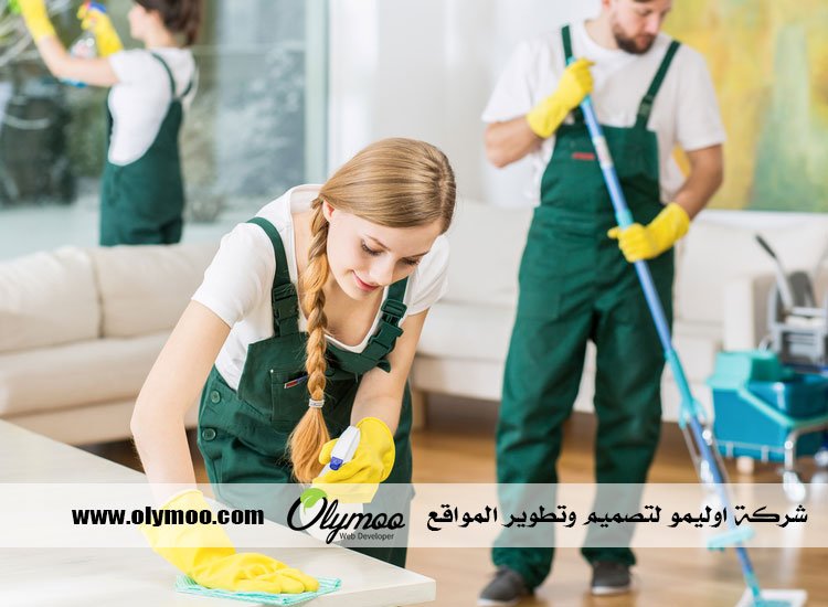 شركة تنظيف في دبي