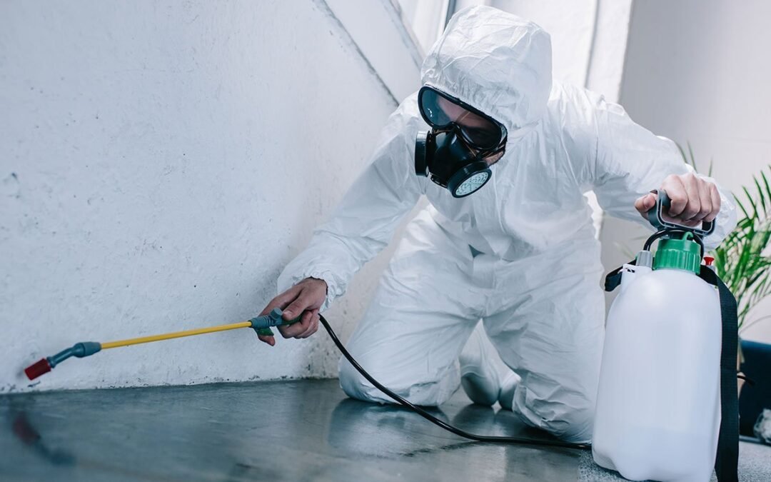 شركة مكافحة الصراصير في دبي