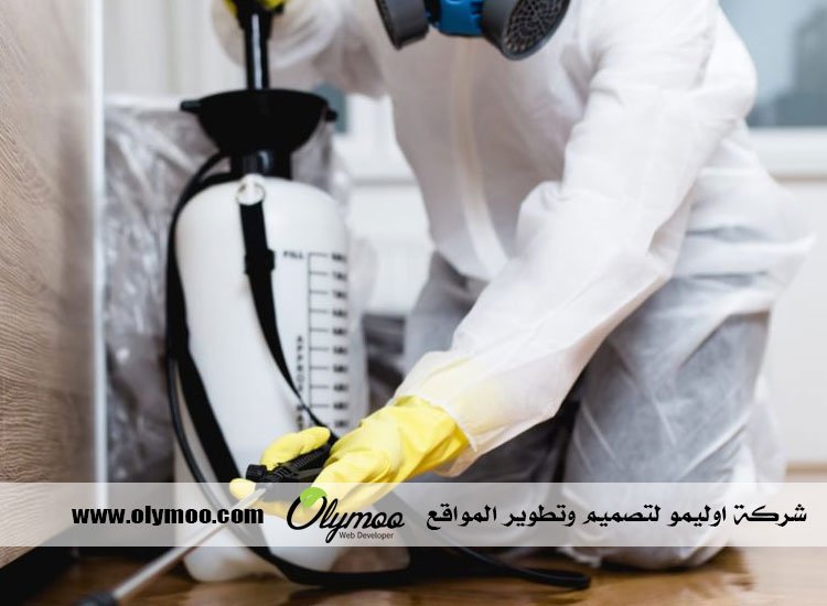شركة مكافحة الصراصير في دبي