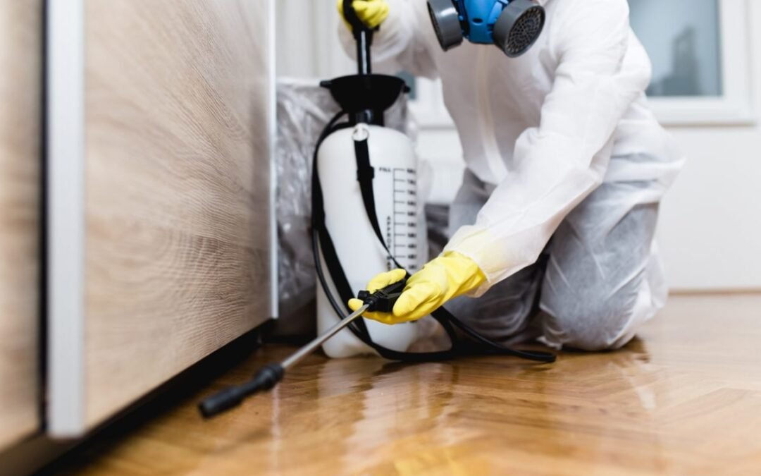 شركة مكافحة العتة بجدة