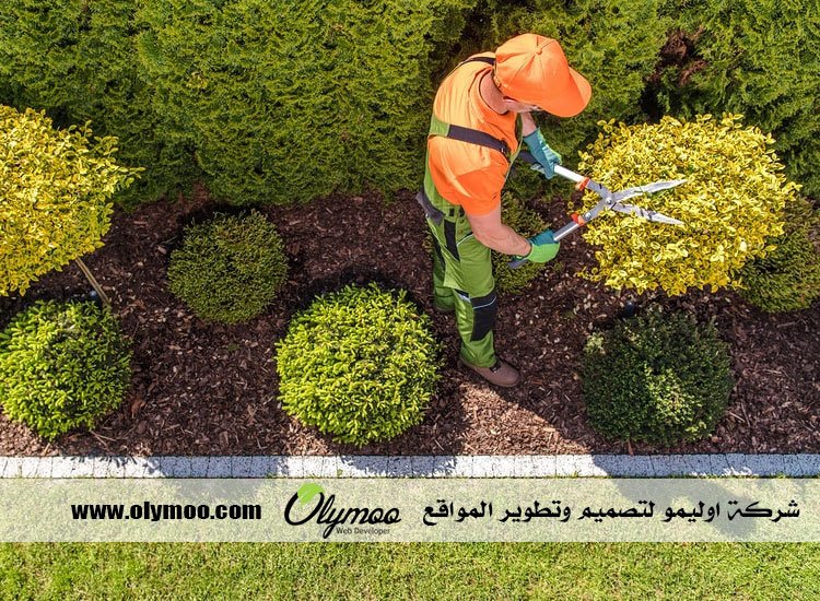 شركة تنسيق حدائق بالرياض