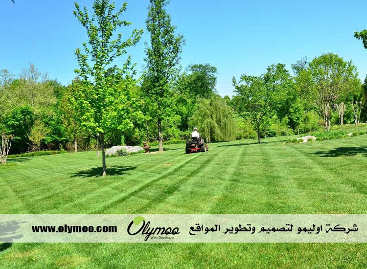 شركة تنسيق حدائق بالرياض