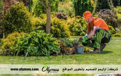 شركة تنسيق حدائق بالرياض