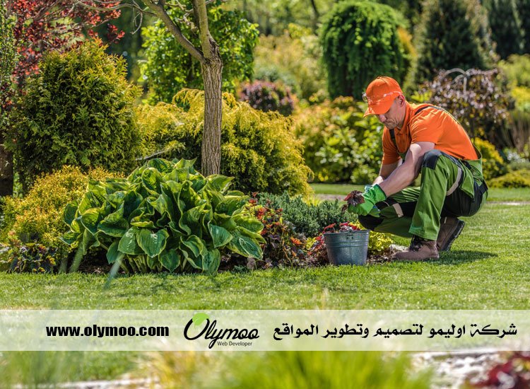شركة تنسيق حدائق بالرياض