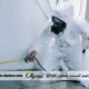 شركة مكافحة الصراصير في دبي