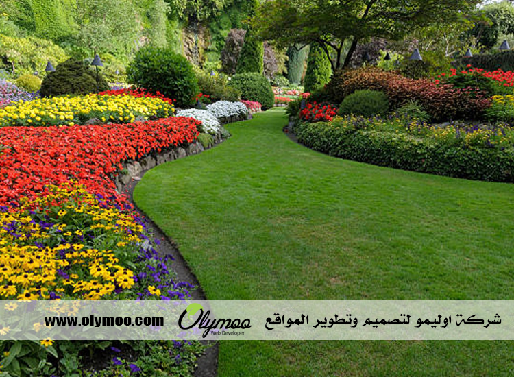 شركة تنسيق حدائق بالرياض