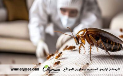 شركة مكافحة حشرات في دبي
